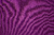 Кашкорсе Фиолет